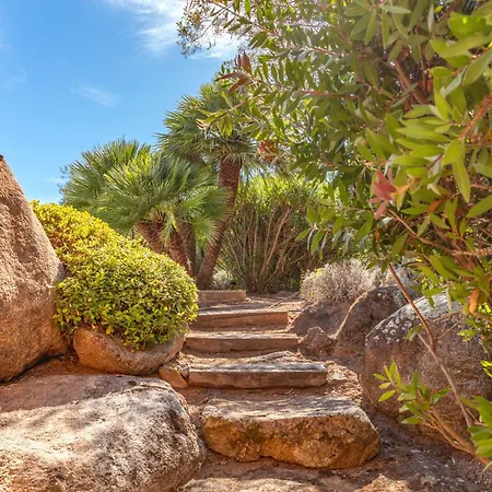 Domaine De Pinarello